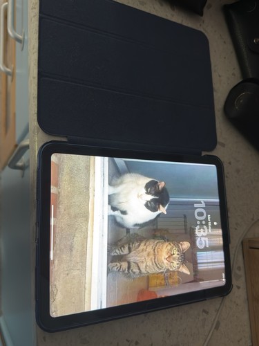 Apple ipad 10a gen - apple, gen.